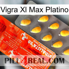 Vigra Xl Max Platinum new01